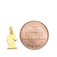 Load image into Gallery viewer, Solid Gold Knight Charm - 10k or 14k
